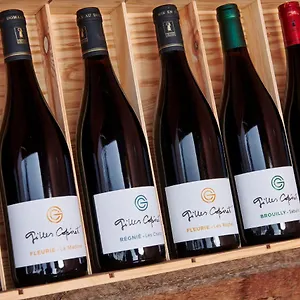 Domaine Gilles Coperet- Artisan-Vigneron- Chambres D'Hotes Les Glycines - Régnié